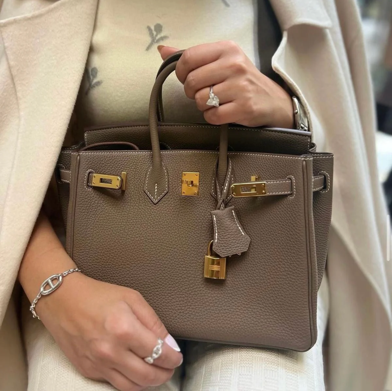 Elanéce Veske | Skinn