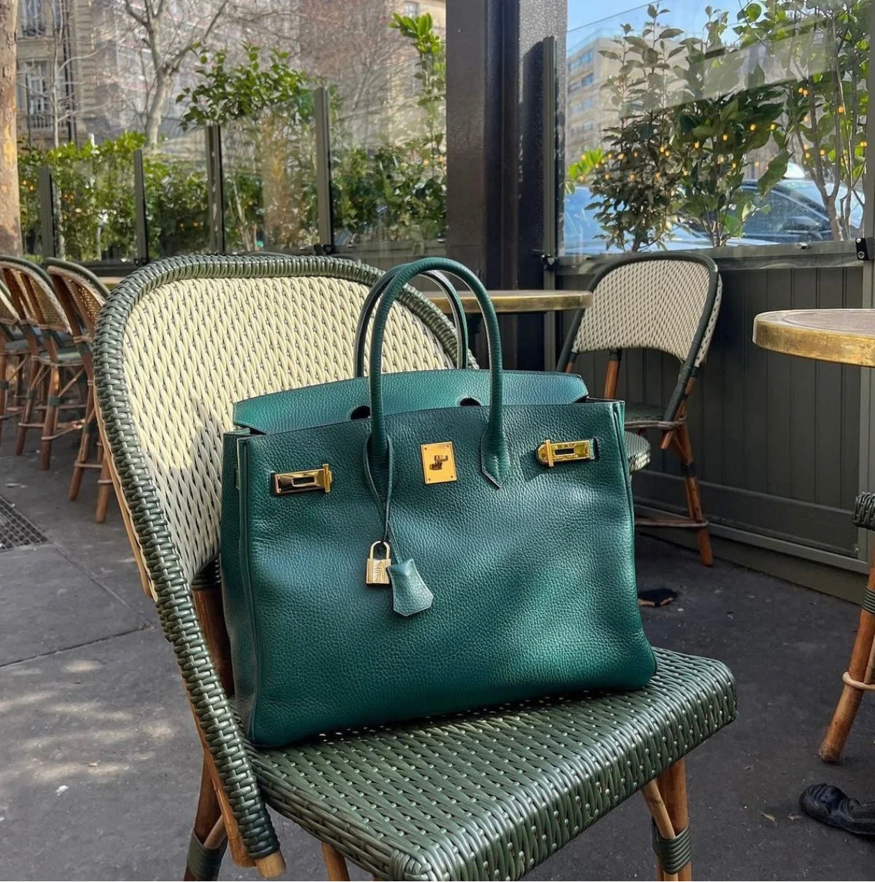 Elanéce Veske | Skinn